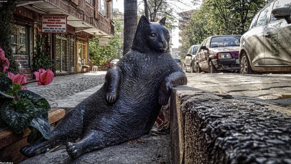 What to Put on a Resume With No Experience